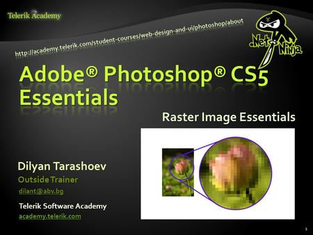 1 Raster Image Essentials Dilyan Tarashoev Telerik Software Academy academy.telerik.com Outside Trainer