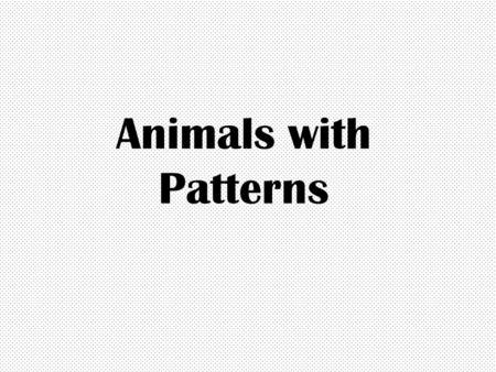 Animals with Patterns. Reasons Animals Have Patterned Coats To scare predators Camouflage Because it’s unique!