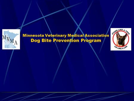 Minnesota Veterinary Medical Association Dog Bite Prevention Program.