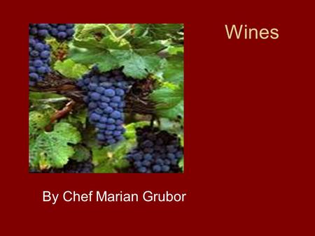 Wines By Chef Marian Grubor. From the Vine to the grape ; from the grape to the wine.