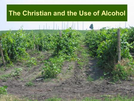 The Christian and the Use of Alcohol. The drinking of wine is acknowledged to be a way of enjoying the blessings of God.