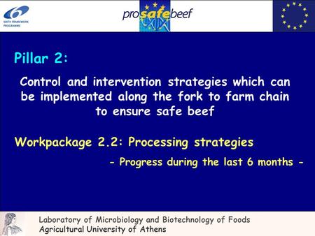 Pillar 2: Control and intervention strategies which can be implemented along the fork to farm chain to ensure safe beef Laboratory of Microbiology and.