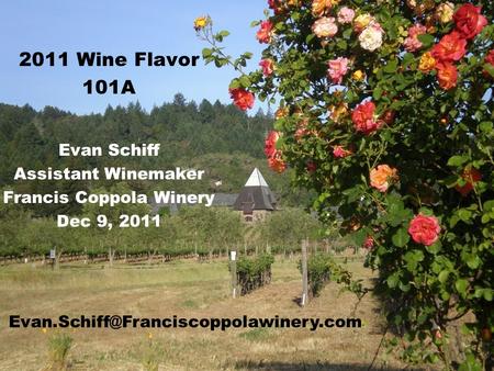 2011 Wine Flavor 101A Evan Schiff Assistant Winemaker Francis Coppola Winery Dec 9, 2011