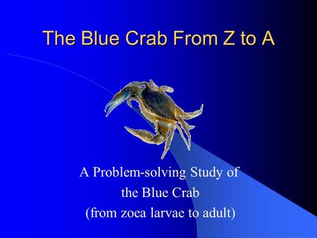 The Blue Crab From Z to A A Problem-solving Study of the Blue Crab (from zoea larvae to adult)