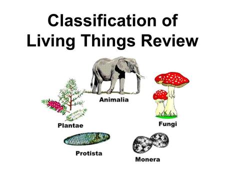Classification of Living Things Review