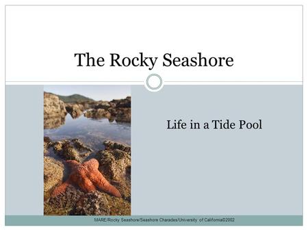 MARE/Rocky Seashore/Seashore Charades/University of California©2002