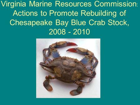 Virginia Marine Resources Commission : Actions to Promote Rebuilding of Chesapeake Bay Blue Crab Stock, 2008 - 2010.