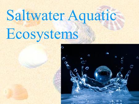 Saltwater Aquatic Ecosystems