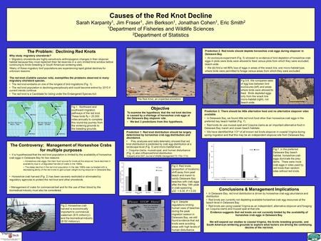 Causes of the Red Knot Decline Sarah Karpanty 1, Jim Fraser 1, Jim Berkson 1, Jonathan Cohen 1, Eric Smith 2 1 Department of Fisheries and Wildlife Sciences.