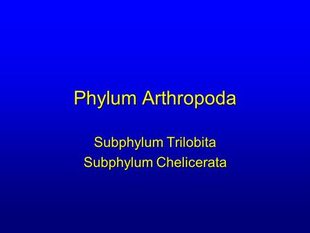 Subphylum Trilobita Subphylum Chelicerata