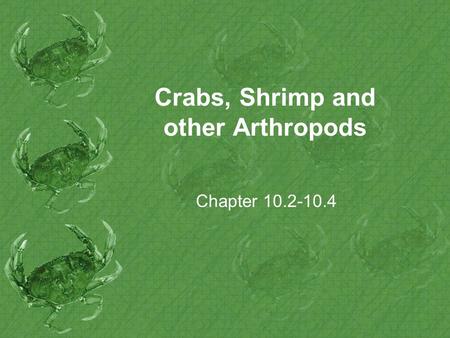 Crabs, Shrimp and other Arthropods Chapter 10.2-10.4.