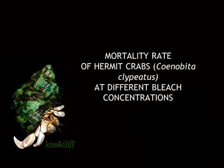 MORTALITY RATE OF HERMIT CRABS (Coenobita clypeatus) AT DIFFERENT BLEACH CONCENTRATIONS.