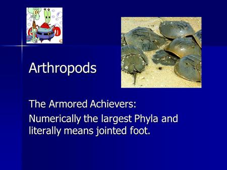 Arthropods The Armored Achievers: Numerically the largest Phyla and literally means jointed foot.