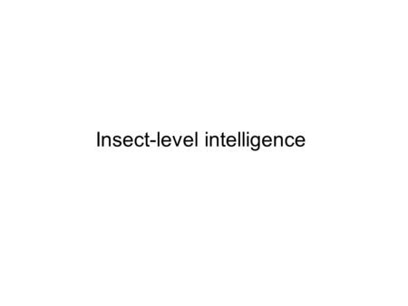 Insect-level intelligence. Information for performing tasks Learning about home – a routine for acquisition Exploration and the return from newly discovered.