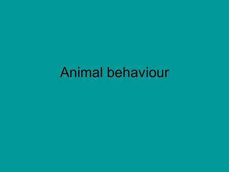 Animal behaviour.