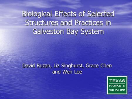 Biological Effects of Selected Structures and Practices in Galveston Bay System David Buzan, Liz Singhurst, Grace Chen and Wen Lee.