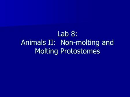 Lab 8: Animals II: Non-molting and Molting Protostomes.