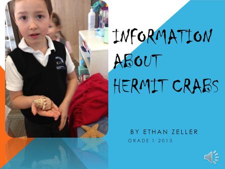 INFORMATION ABOUT HERMIT CRABS BY ETHAN ZELLER GRADE 1 2013.