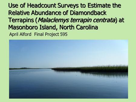 Use of Headcount Surveys to Estimate the Relative Abundance of Diamondback Terrapins (Malaclemys terrapin centrata) at Masonboro Island, North Carolina.