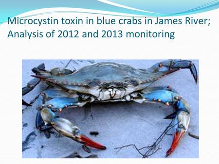 Microcystin toxin in blue crabs in James River; Analysis of 2012 and 2013 monitoring.