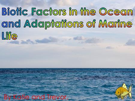 Biotic Factors in the Ocean and Adaptations of Marine Life