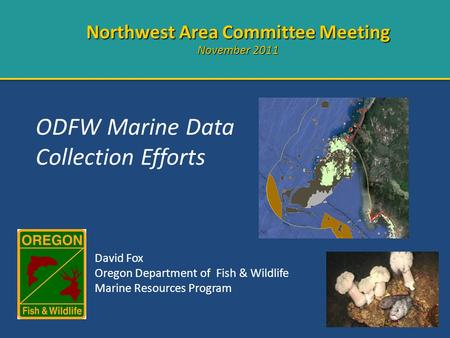 ODFW Marine Data Collection Efforts Northwest Area Committee Meeting November 2011 David Fox Oregon Department of Fish & Wildlife Marine Resources Program.