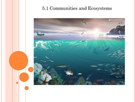 5.1 Communities and Ecosystems. Assessment Statements Define species, habitat, population, community, ecosystem, and ecology Distinguish between autotroph.