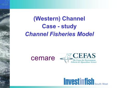 (Western) Channel Case - study Channel Fisheries Model cemare.