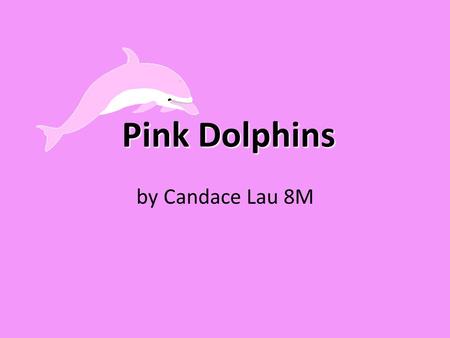 Pink Dolphins by Candace Lau 8M. What are pink dolphins? Pink dolphin’s scientific name is sousa chinensis. Pink dolphins are commonly mistaken to be.