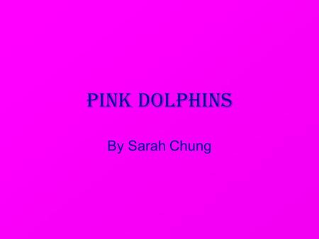 Pink Dolphins By Sarah Chung. Hong Kong Dolphin Dolphin weighs 200 Kg. to 250 Kg They eat 10 to 25 fish a day 100 left.