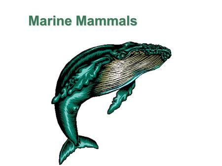 Marine Mammals.