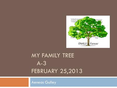 MY FAMILY TREE A-3 FEBRUARY 25,2013 Aeneas Gulley.