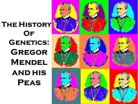 The History Of Genetics: Gregor Mendel and his Peas.