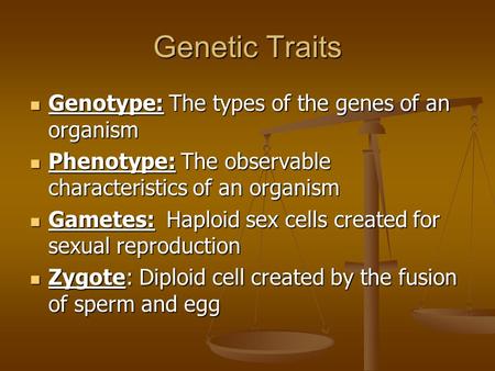 Genetic Traits Genotype: The types of the genes of an organism Genotype: The types of the genes of an organism Phenotype: The observable characteristics.