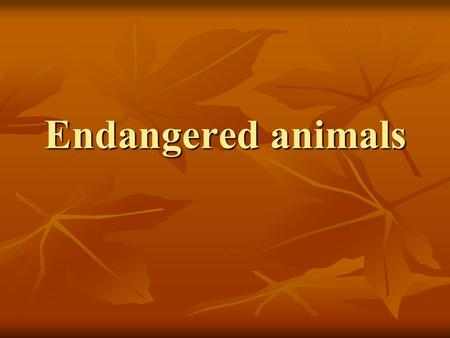 Endangered animals. Today, lot of animals are endengered mostly because of people. Today, lot of animals are endengered mostly because of people. Number.