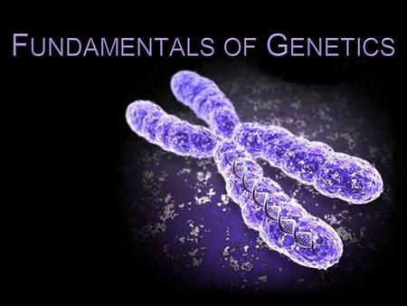 Genetics is everywhere these days – and it will continue as a dominant force in biology and society for decades to come. Wouldn’t it be nice if people.