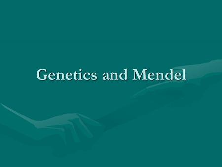 Genetics and Mendel. Gregor Mendel Austrian Monk Studied peas 1860 (Darwin’s voyage ended 1836) Developed laws of inheritance of traits Did not know about.