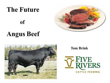 The Future of Angus Beef Tom Brink. Commodity principles: Low costs & production efficiency Added Value & Product differentiation Effective Business Pyramid.