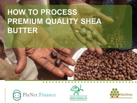 HOW TO PROCESS PREMIUM QUALITY SHEA BUTTER. ©2012 StarShea. All rights reserved.2 Germinated nuts Insect Attack Nuts.
