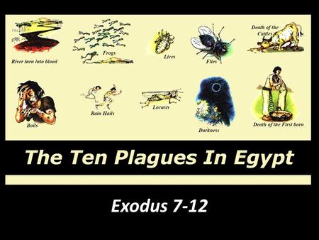 The Plagues of Egypt Exodus 7-12.