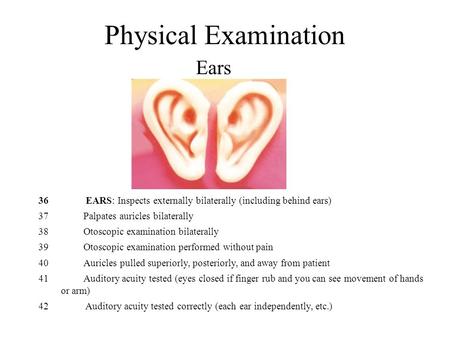 Physical Examination Ears 36 EARS: Inspects externally bilaterally (including behind ears) 37Palpates auricles bilaterally 38 Otoscopic examination bilaterally.