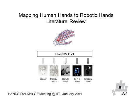 Mapping Human Hands to Robotic Hands Literature Review HANDS.DVI Kick Off IIT, January 2011.