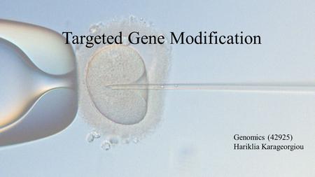 Targeted Gene Modification Genomics (42925) Hariklia Karageorgiou.