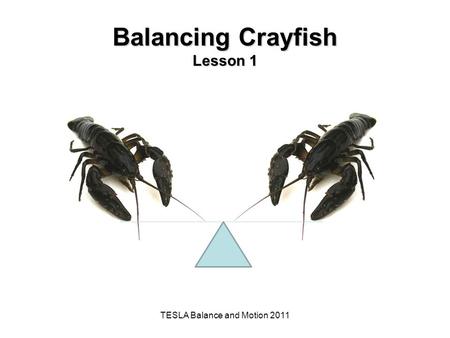 Balancing Crayfish Lesson 1