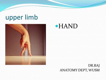 Upper limb HAND DR.RAJ ANATOMY DEPT, WUSM.