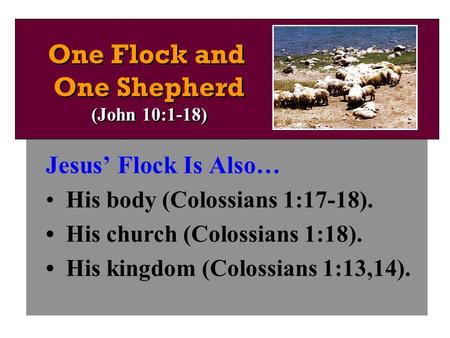 Jesus’ Flock Is Also… His body (Colossians 1:17-18). His church (Colossians 1:18). His kingdom (Colossians 1:13,14). One Flock and One Shepherd (John 10:1-18)