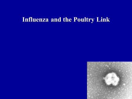 Influenza and the Poultry Link. Hemagglutinin Neuraminidase.