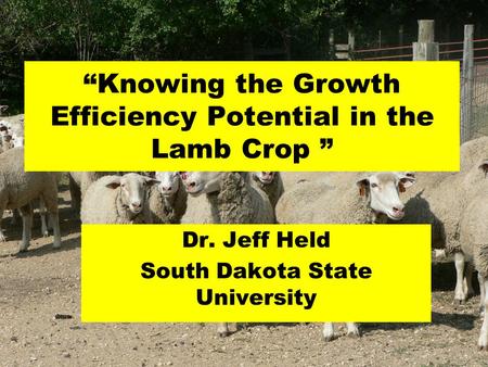 “Knowing the Growth Efficiency Potential in the Lamb Crop ” Dr. Jeff Held South Dakota State University.