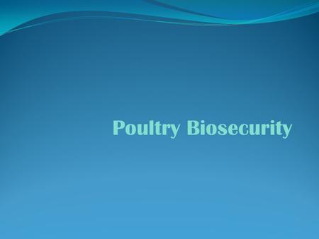 Poultry Biosecurity.