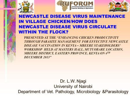 1 NEWCASTLE DISEASE VIRUS MAINTENANCE IN VILLAGE CHICKEN/HOW DOES NEWCASTLE DISEASE VIRUS CIRCULATE WITHIN THE FLOCK? Dr. L.W. Njagi University of Nairobi.